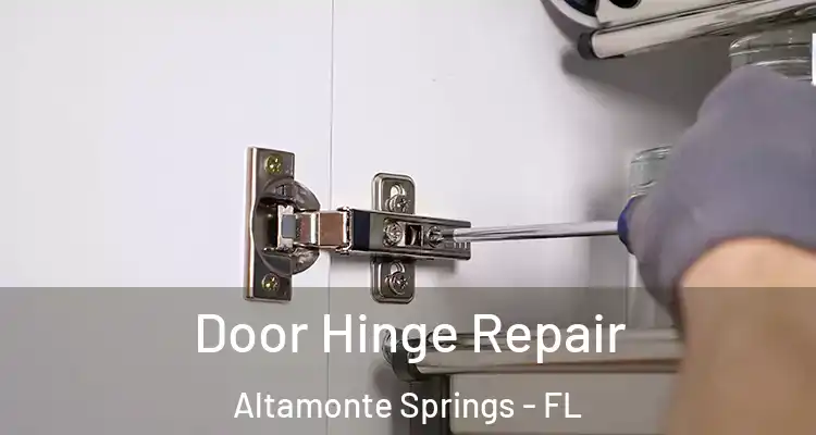 Door Hinge Repair Altamonte Springs - FL
