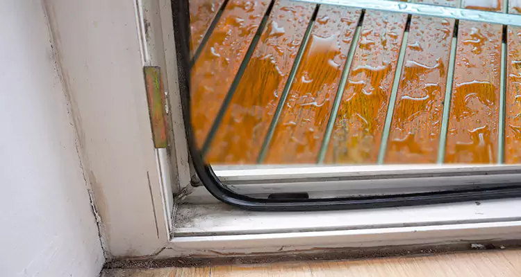 Water Leaking Wooden Patio Doors Repair in Altamonte Springs, FL