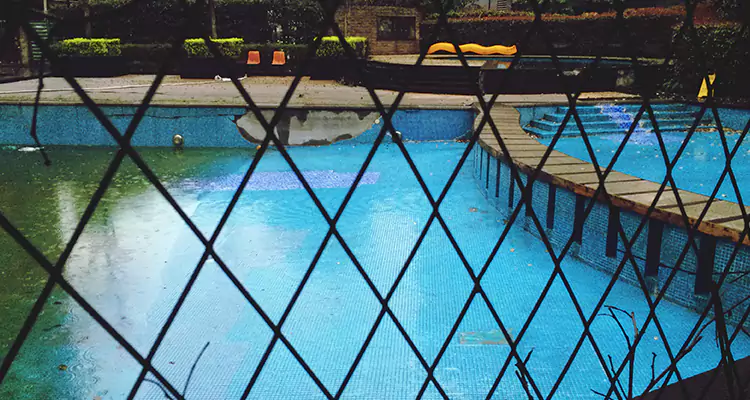 Lanai Screen Repair in Altamonte Springs, FL